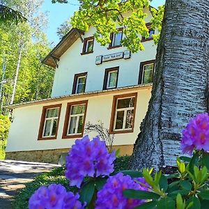 Hotel Pension Haus Anna Altenberg  Exterior photo