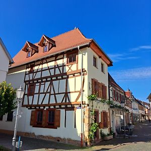 Villa Gaestehaus Merlin Mit Saunabereich Bad Bergzabern Exterior photo