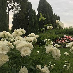 Maison Des Roses Imola Exterior photo