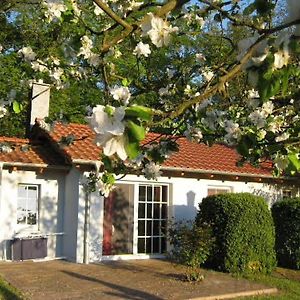 Hotel Bungalow Am Haussee Himmelpfort Exterior photo