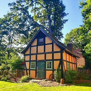 Villa Ferienhaus Alter Speicher im DümmerWeserLand Rehden Exterior photo