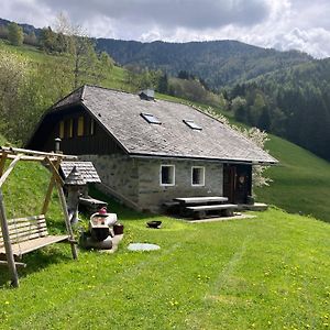 Villa Berghütte Hochhalt Unteralpe Exterior photo