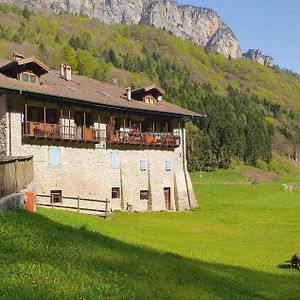 Ferienwohnung Tirol In Balin - La Stua Fiavè Exterior photo