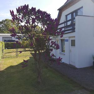 Ferienwohnung Zum Kleinen Obstgarten Ribnitz-Damgarten Exterior photo