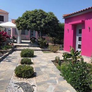 Villa Samos Garden Studio Mytilinioi Exterior photo
