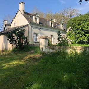 Villa Huis Op Een Eiland In De Loire Gennes-Val-de-Loire Exterior photo