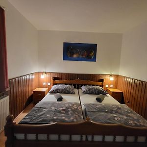 Hotel Pension Pod Lipou Nova Ves v Horach Room photo