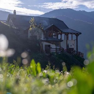 Villa Alpin Zeneli Chalet Cerem Exterior photo