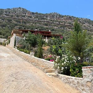 Hotel Istlada Tas Ev Apart - Kekova View Kapaklı Exterior photo