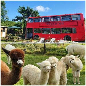 Villa Double Decker Bus On An Alpaca Farm Sleeps 8, 5 Mins Drive To Dartmoor Bovey Tracey Exterior photo
