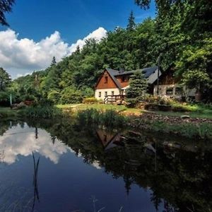 Villa Ferienhaus Mit See, Alleinlage Oppach Exterior photo