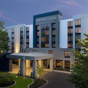 Springhill Suites By Marriott Atlanta Perimeter Center Exterior photo