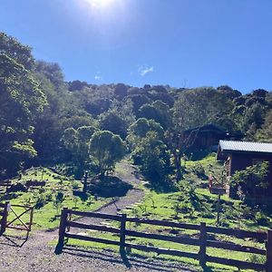 Curuba Lodge Copey Exterior photo