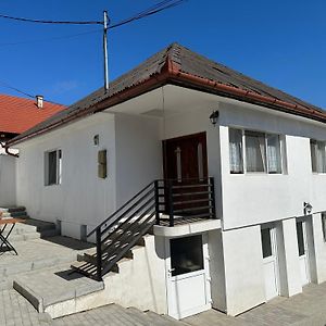 Hotel SZEKERES Vendégház Corund  Exterior photo