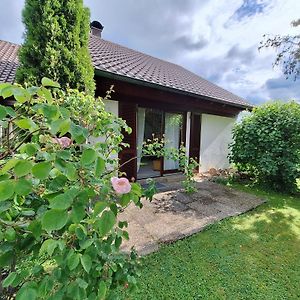 Ferienwohnung Ferienchalet Hechingen Exterior photo