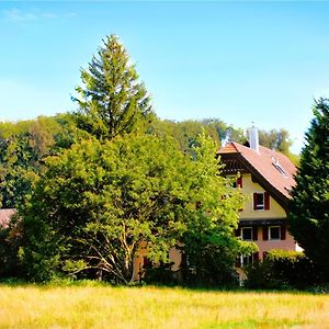 Bed and Breakfast Nisihof, Abendblick Oberkirch Exterior photo