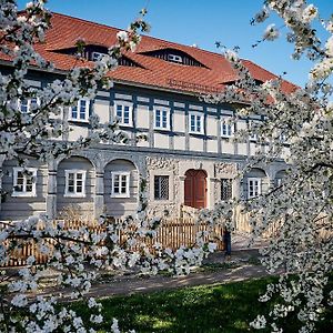 Villa Zur Wilhelmine - Landgut 1779 Cunewalde Exterior photo