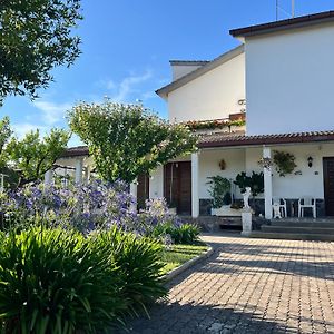 Giardino Degli Aranci B&B La Massimina-Casal Lumbroso Exterior photo