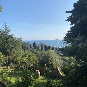 Villa Picedi Lerici Exterior photo