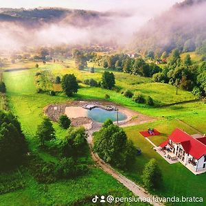 Hotel Pensiunea Lavanda Bratca Exterior photo