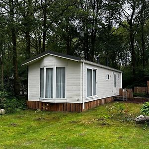 Villa Chalet In Drenthe Schoonloo Exterior photo