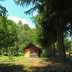 Villa Planinska Kuca Palacinka Despotovac Exterior photo