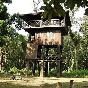 Hotel Typical Nepali Kitchen - No Pizza - No Pasta - No Problem !! Sauraha Exterior photo