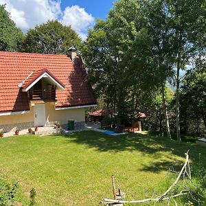 Villa Mountain Vila In Ponikva Kočani Exterior photo