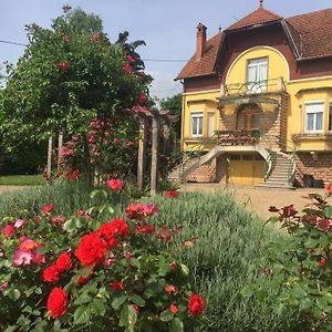 Villa Bourgogne Grande Maison Avec Jardin A La Francaise Pontailler-sur-Saone Exterior photo