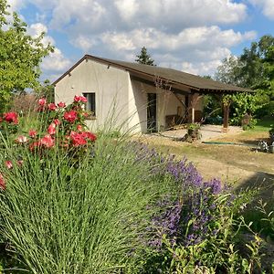 Villa Le Bois Neuf Savigny-Sur-Braye Exterior photo