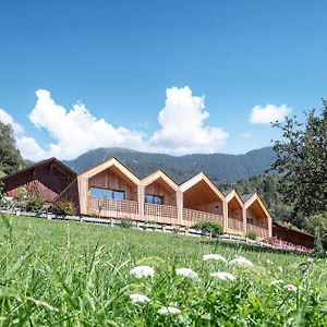 Niederthalerhof Chalets Brixen Exterior photo