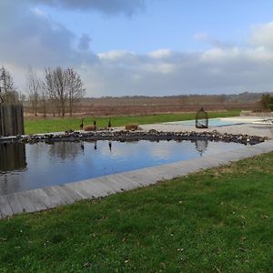 Villa Grand Gite Avec Piscine Maison Port Valade Tabanac Exterior photo