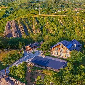 Hotel Barlogul Vikingilor Sotrile Exterior photo