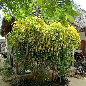 Morningstar Bungalows Zanzibar Matemwe  Exterior photo