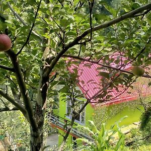 Ferienwohnung Apple Blossom Hideaway Narkanda Shimla Exterior photo