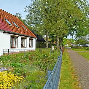 schöne Ferienwohnung mit Terrasse am Bodden in Ralswiek Exterior photo