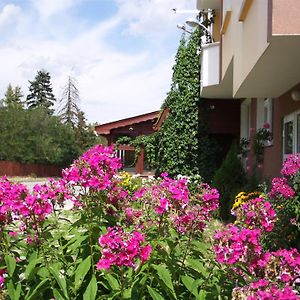 Hotel Zodiac House Samokow Exterior photo