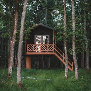 Villa Hekso Treehouse Kirikukula  Exterior photo