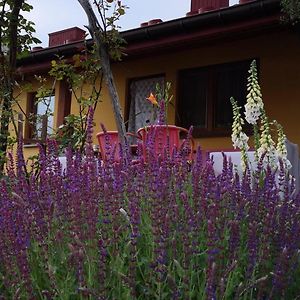 Villa Pszczeli Ogrod - Agroturystyka Deba Exterior photo