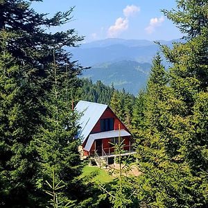 Villa Არწივის Ბუდე Eagle'S Nest Goderdzi Exterior photo