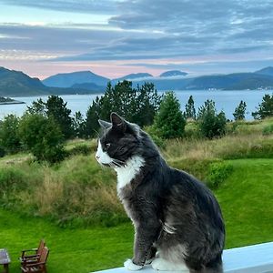 Ferienwohnung Wake Up To A Beautiful View And Smell Of The Sea Kristiansund Exterior photo