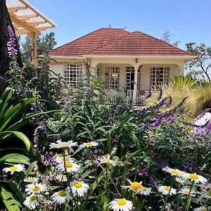 Bed and Breakfast Allamanda House Meru Arusha Exterior photo