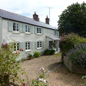 Bed and Breakfast The Willows Shillingstone Exterior photo