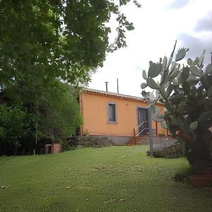 Villa La Casa Di Bacco - Etna Country House - Affitto Breve Castiglione De Sicilia Exterior photo