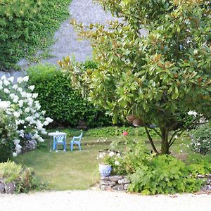 Villa Gite Spacieux Au Coeur Du Val De Loire, Entre Orleans Et Blois, Avec Jardin, Cour Fermee Et Bbq ! - Fr-1-590-106 Tavers Exterior photo