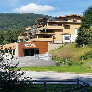 Kitzbüheler Alpenlodge Top A6 with private panoramic sauna Mittersill Exterior photo