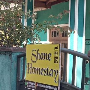 Shane Homestay Hatton Exterior photo