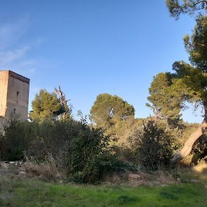 Ferienwohnung Sur Les Pas Des Templiers Trouillas Exterior photo