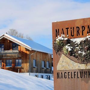 Ferienwohnung mit Aussicht im Bergdorf Steibis im Allgäu Exterior photo