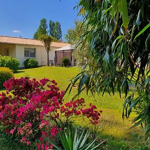 Villa Gite De L'Aiguille Oeyreluy Exterior photo